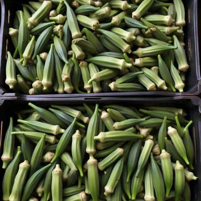 Dried Okra